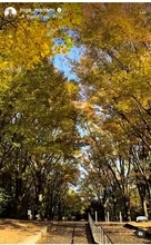 比嘉愛未、人生の転機を迎え心境を吐露「ずっと抱えてたものを手放せた」