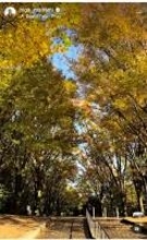 比嘉愛未、人生の転機を迎え心境を吐露「ずっと抱えてたものを手放せた」