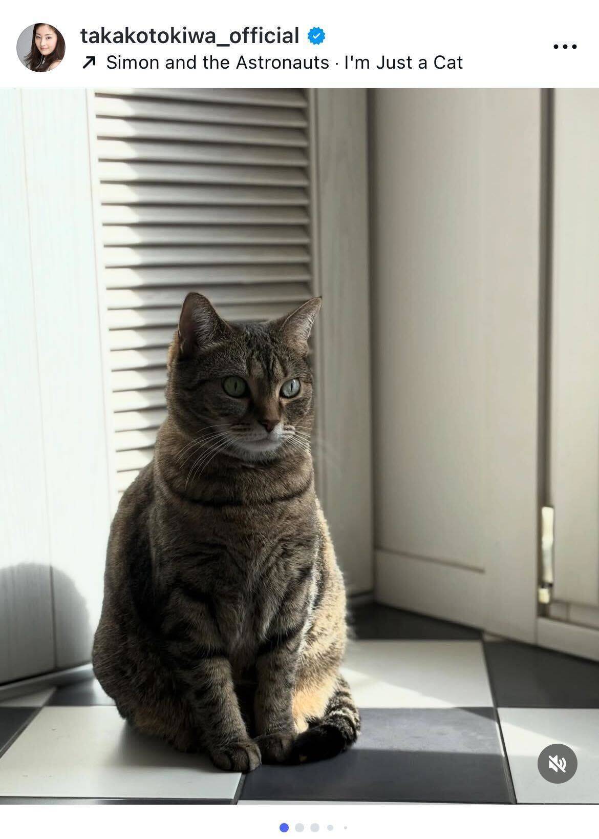 常盤貴子、2匹目の猫「モモ」の個性的な一面を紹介