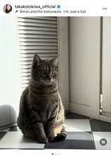 常盤貴子、2匹目の猫「モモ」の個性的な一面を紹介