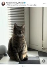 常盤貴子、2匹目の猫「モモ」の個性的な一面を紹介