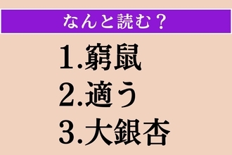 【難読漢字】「窮鼠」「適う」「大銀杏」読める？