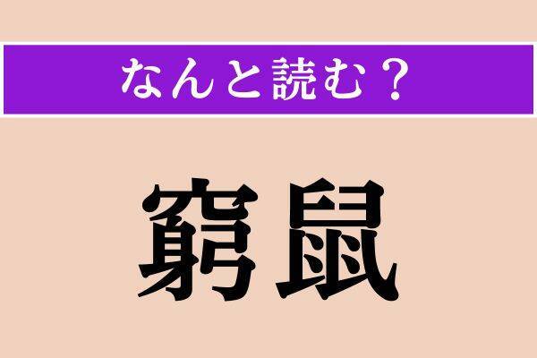 【難読漢字】「窮鼠」「適う」「大銀杏」読める？