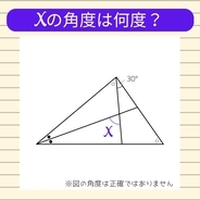 【角度当てクイズ Vol.2338】xの角度は何度？