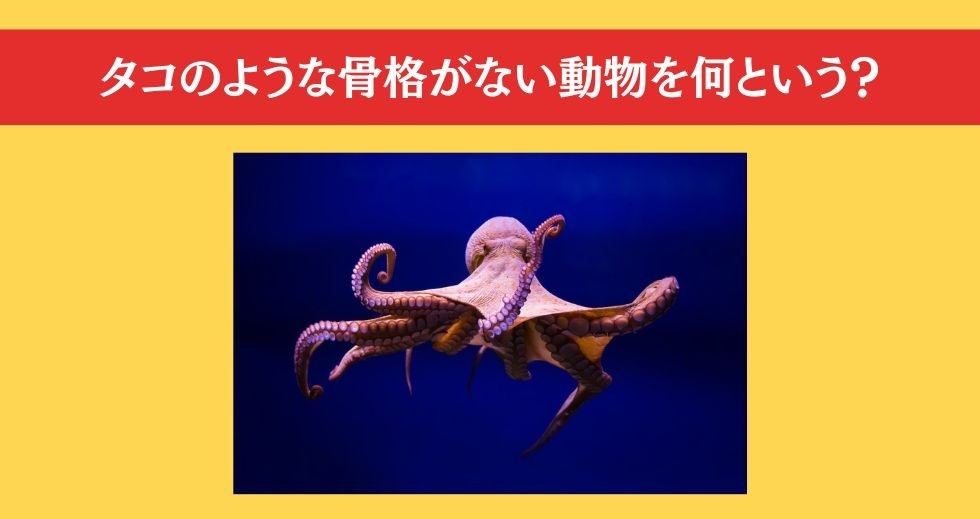 大人ならわかる？ 小学校の「理科」問題＜Vol.50＞