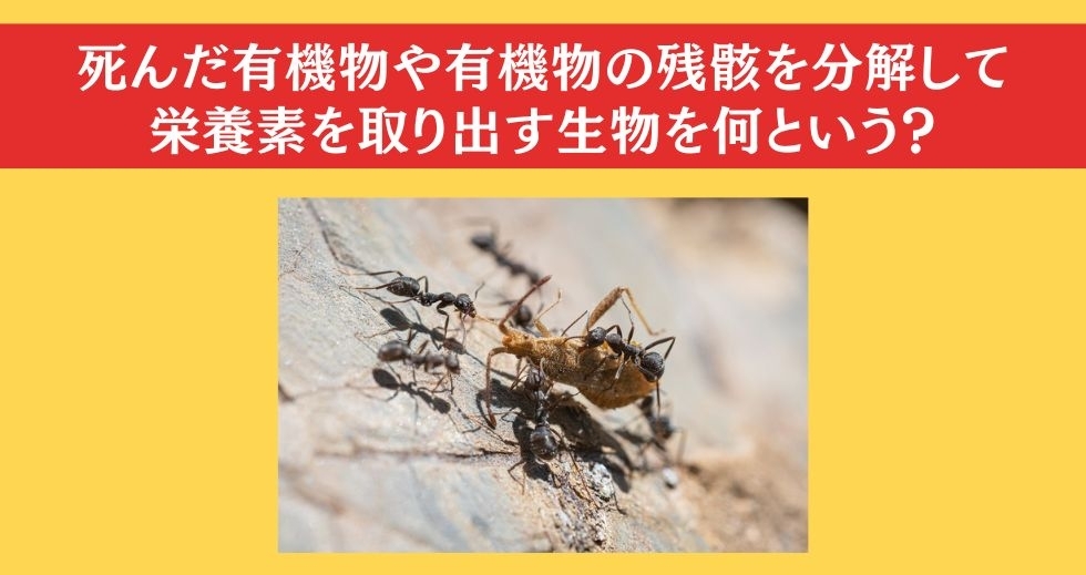 大人ならわかる？ 小学校の「理科」問題＜Vol.39＞