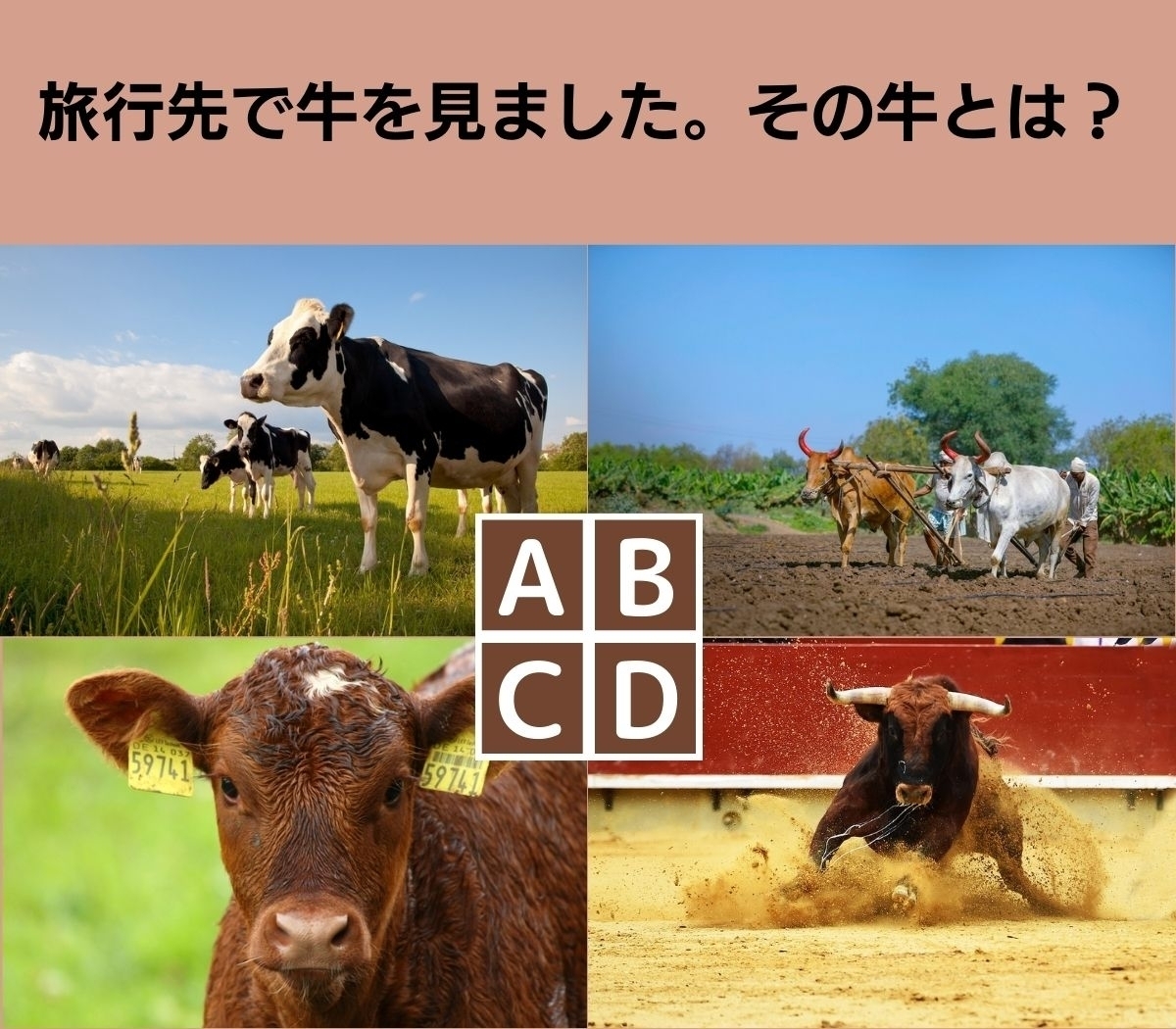 【心理テスト】深層心理は知っている。あなたがお金持ちになるには？