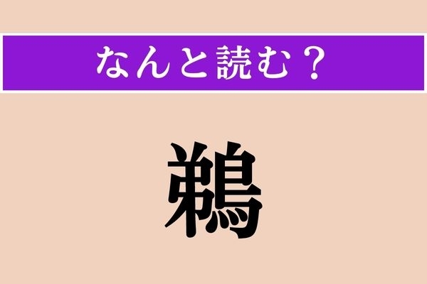 【難読漢字】「鵜」正しい読み方は？ どの鳥だろう…