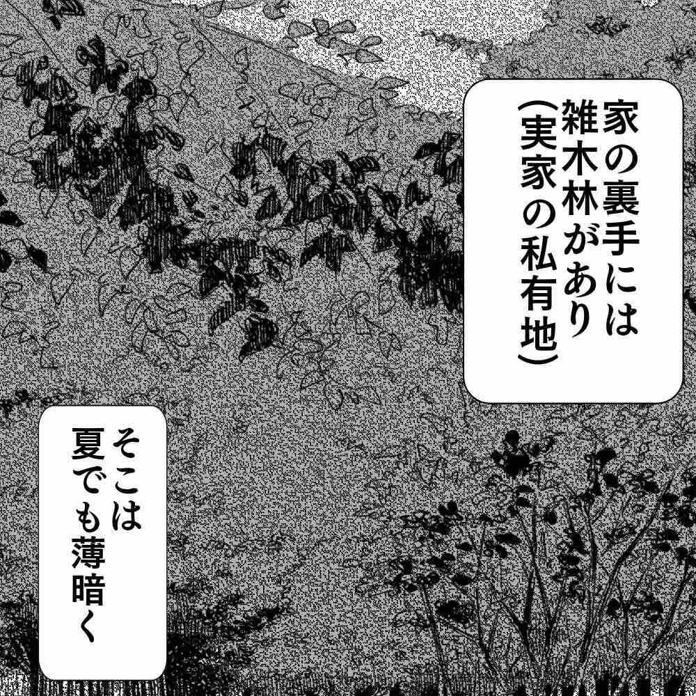 【漫画】うちの私有地に生ゴミが捨てられるようになった【ホラー・人コワ体験談 Vol.81】