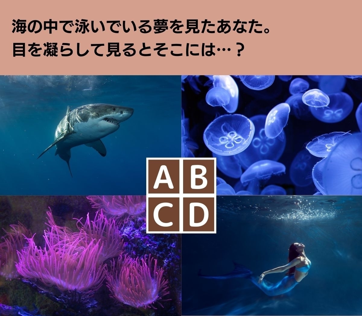 【心理テスト】嫌いな人への対応能力度チェック！