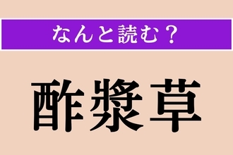 【難読漢字】「酢漿草」正しい読み方は？ 春から秋に黄色の花を咲かせる植物です