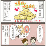 「つわりは2週間後にやってくる！1日6個チーズバーガーだけを食べる日々」の画像11