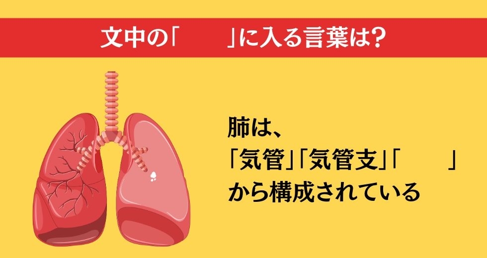 大人ならわかる？ 小学校の「理科」問題＜Vol.38＞