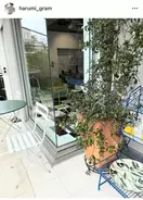 栗原はるみ、愛猫“もやし”の誕生日を祝福　母との思い出のドーナツ作りも