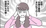 「また弁護士費用が発生!? 慰謝料の半額も!? 飛ぶようにお金が減っていく！」の画像9