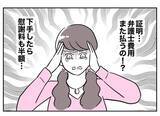 「また弁護士費用が発生!? 慰謝料の半額も!? 飛ぶようにお金が減っていく！」の画像5