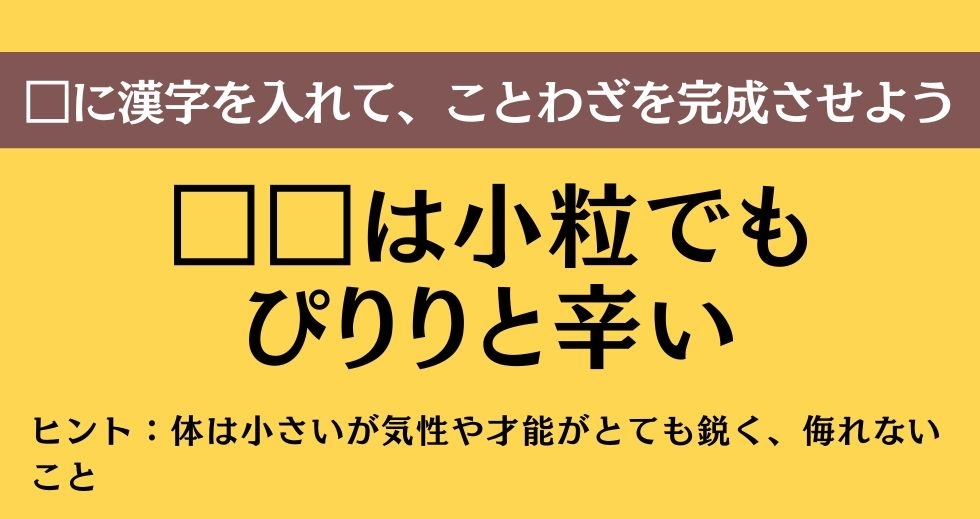大人ならわかる？ 中学校の「国語」問題＜Vol.217＞