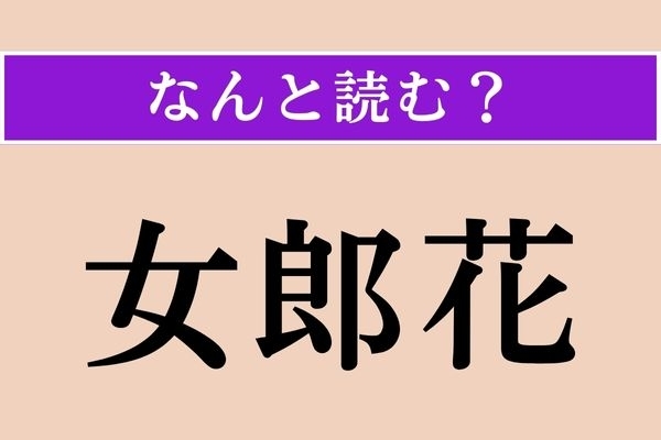【難読漢字】「女郎花」正しい読み方は？ 秋の七草の一つです