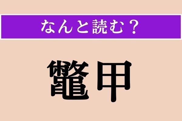 【難読漢字】「鼈甲」正しい読み方は？「鼈」と漢字が似ている「亀」に関係がある言葉です