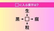 【穴埋め熟語クイズ Vol.5142】□に漢字を入れて4つの熟語を完成させてください