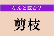 【難読漢字】「剪枝」正しい読み方は？ 樹木の枝を切り落とす作業のことを言います