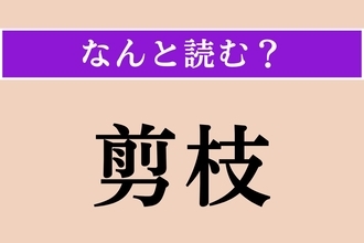 【難読漢字】「剪枝」正しい読み方は？ 樹木の枝を切り落とす作業のことを言います