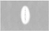 「働くことを反対する彼…でも私は自分の心の声を尊重したいと初めて思えた」の画像12