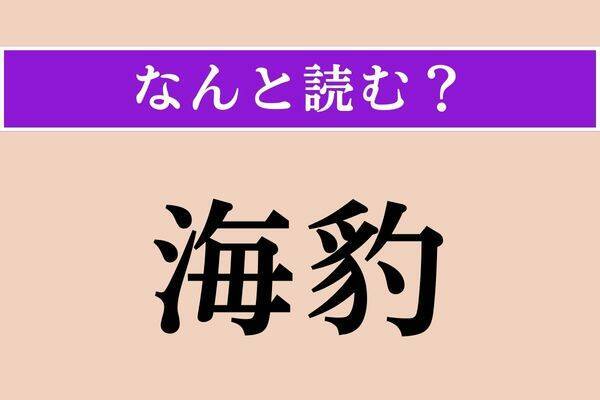 【難読漢字】「海豹」正しい読み方は？ 海の生物です