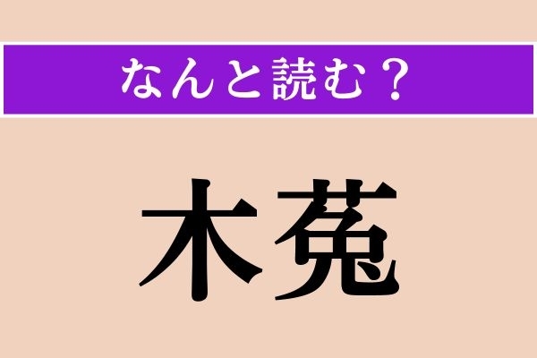 【難読漢字】「木菟」正しい読み方は？ 夜行性の鳥です