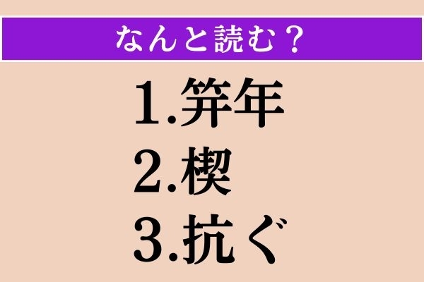【難読漢字】「笄年」「楔」「抗ぐ」読める？