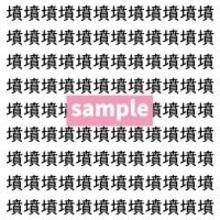 【漢字探し】ずらっと並んだ「墳」の中にまぎれた別の漢字一文字は？