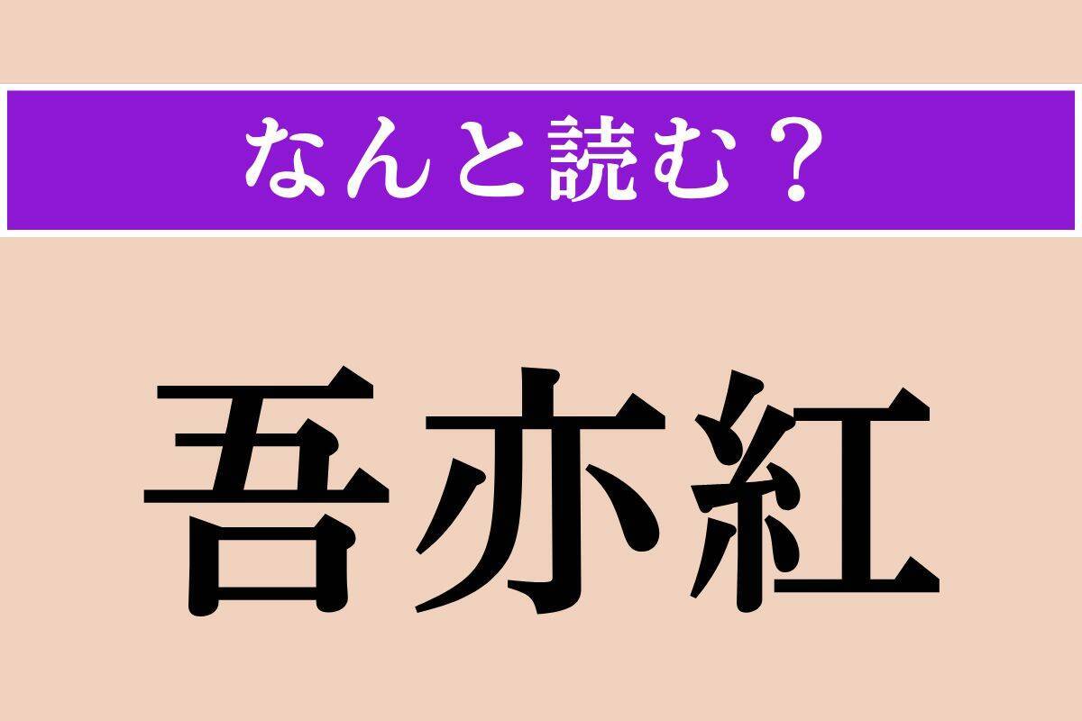 【難読漢字】「吾亦紅」「溜まる」「粲然」読める？
