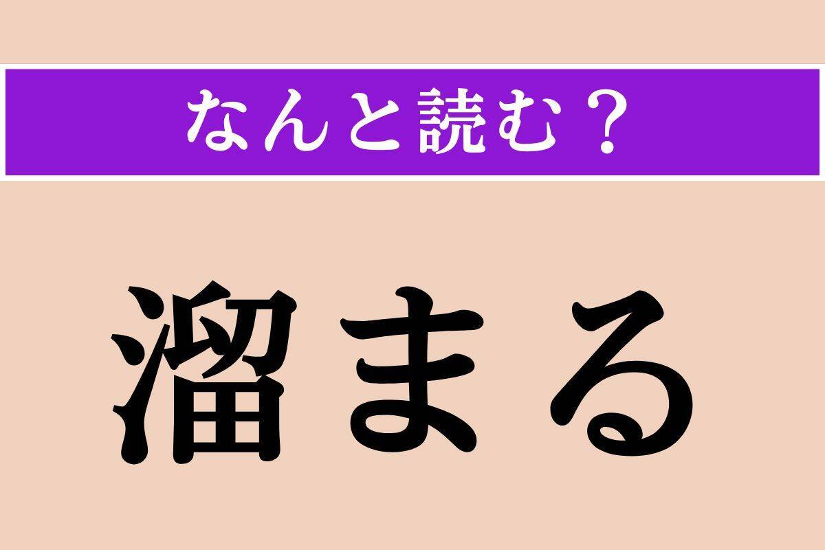 【難読漢字】「吾亦紅」「溜まる」「粲然」読める？
