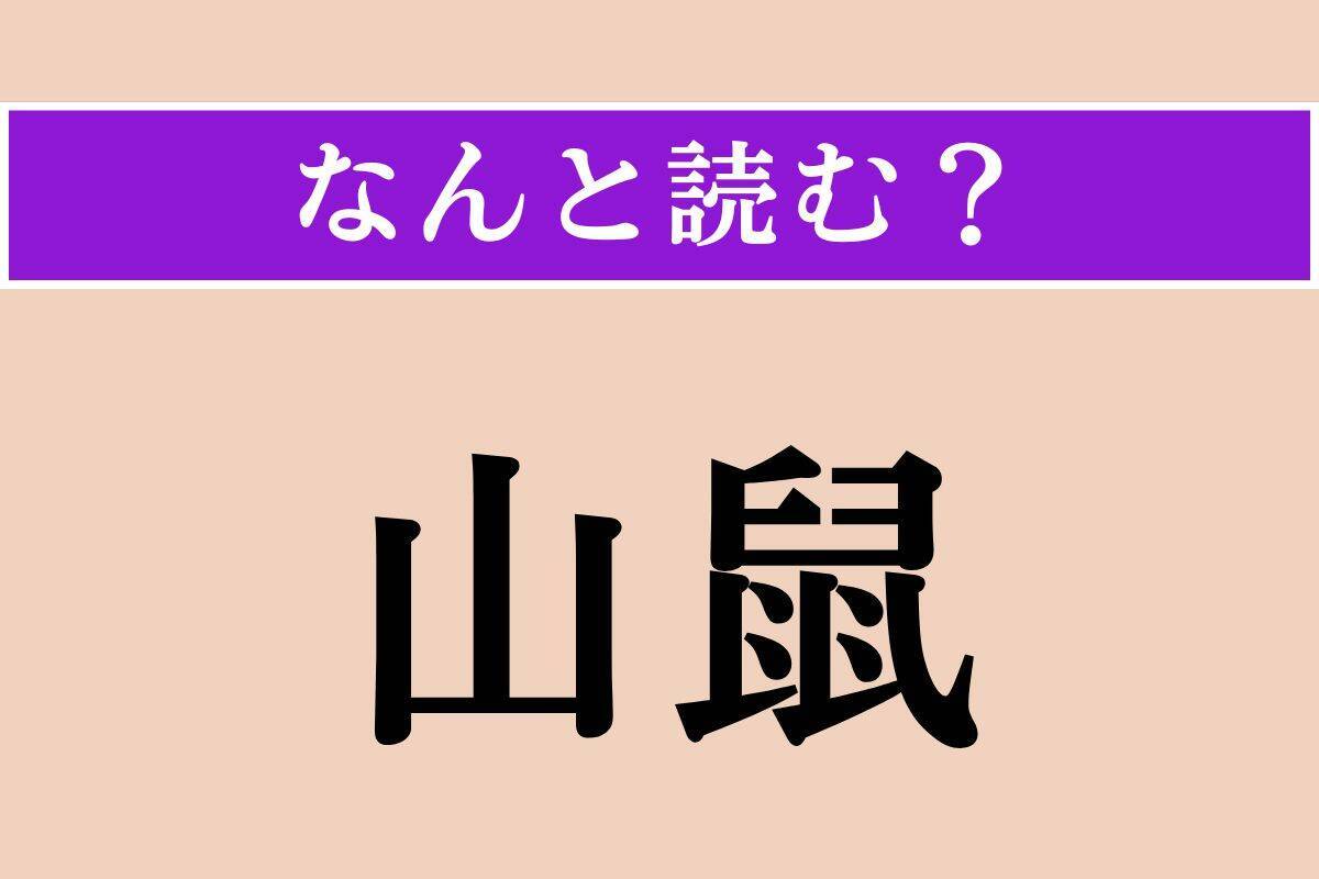 【難読漢字】「山鼠」正しい読み方は？ 冬眠する動物です