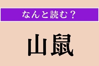 【難読漢字】「山鼠」正しい読み方は？ 冬眠する動物です