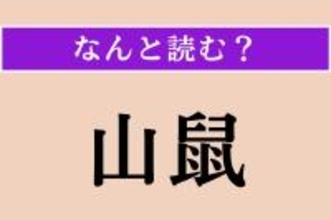 【難読漢字】「山鼠」正しい読み方は？ 冬眠する動物です
