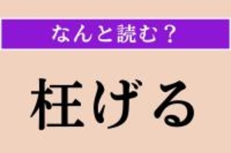 【難読漢字】「枉げる」正しい読み方は？「事実を枉げる」などと使われます