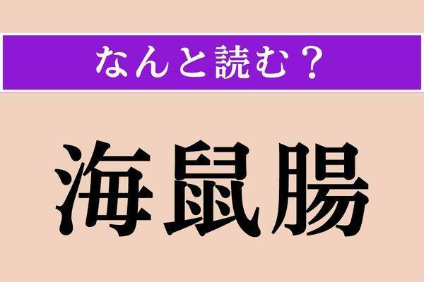 【難読漢字】「枉げる」正しい読み方は？「事実を枉げる」などと使われます