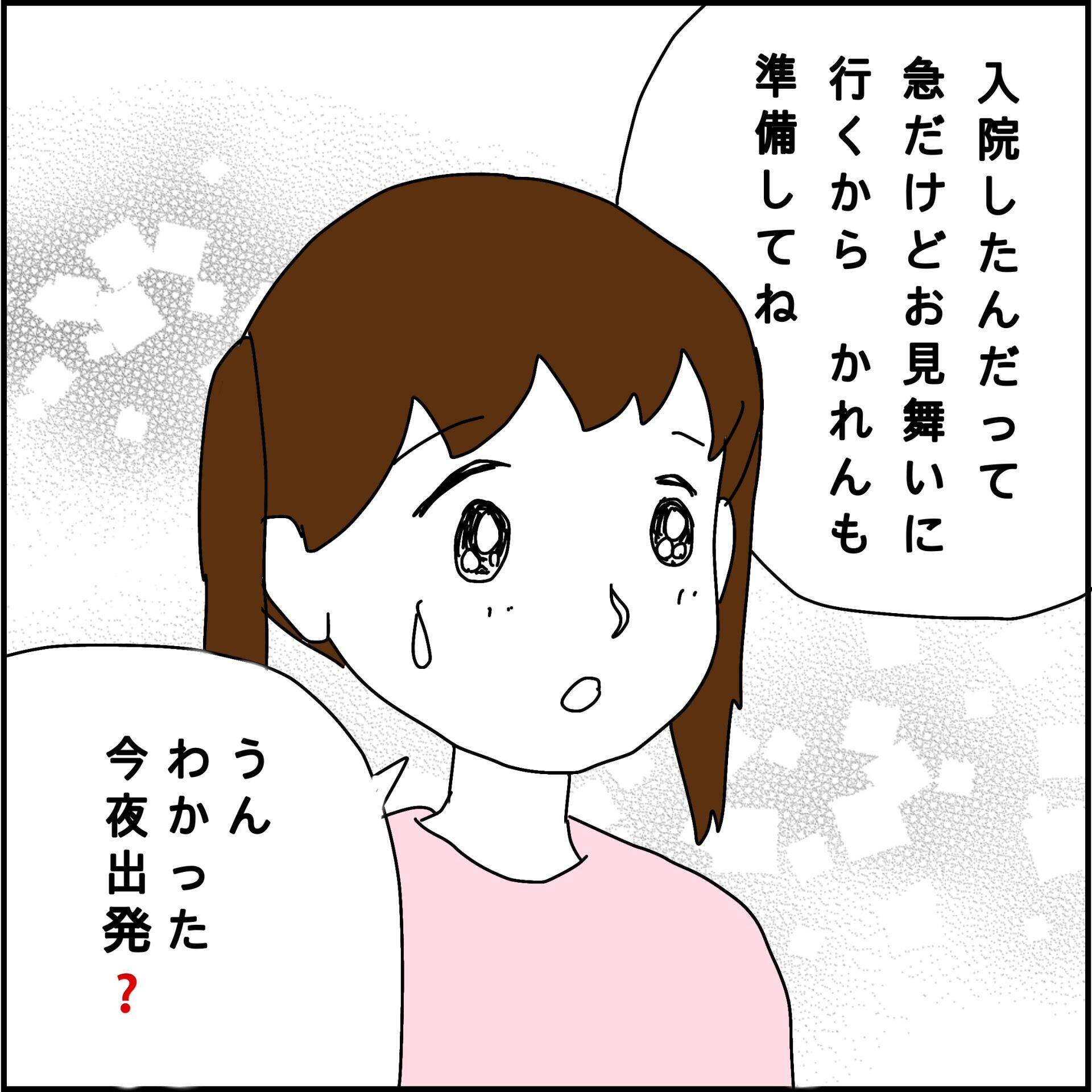 義母が骨折入院　一人暮らしの義母を引き取るのはお金目当ての義兄夫婦!?【漫画】