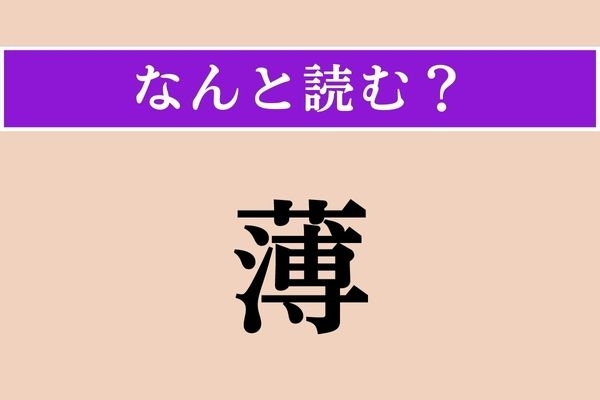 【難読漢字】「薄」正しい読み方は？「薄い」の「薄」ですが、植物名を表すこともあるのです