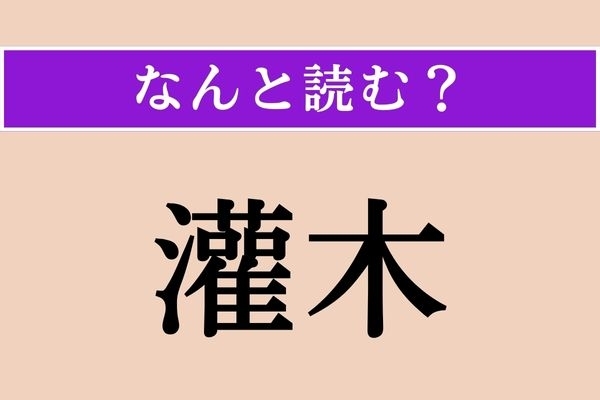 【難読漢字】「灌木」正しい読み方は？ 植物学の用語です
