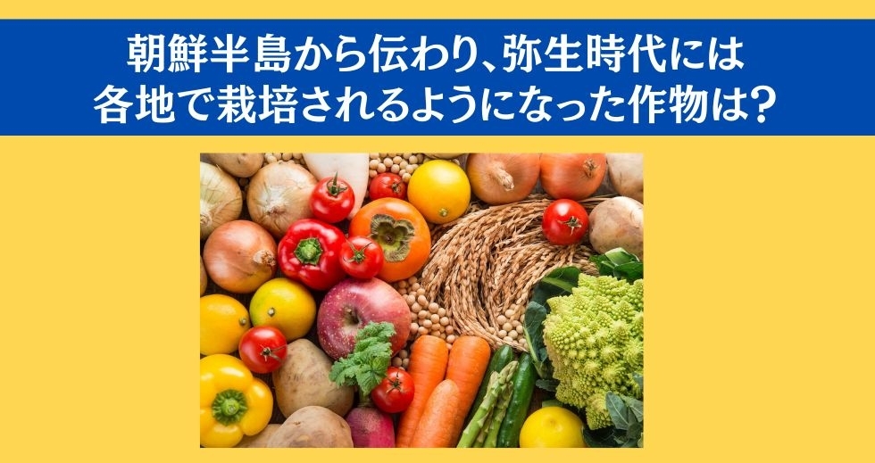 大人ならわかる？ 小学校の「社会」問題＜Vol.2＞