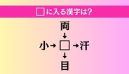 【穴埋め熟語クイズ Vol.2101】□に漢字を入れて4つの熟語を完成させてください