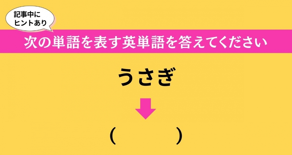 大人ならわかる？ 中学校の「英語」問題＜Vol.649＞