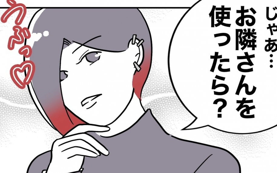 夫と義妹の裏切りを暴くべく、お隣さんの新たな作戦が幕を開ける！