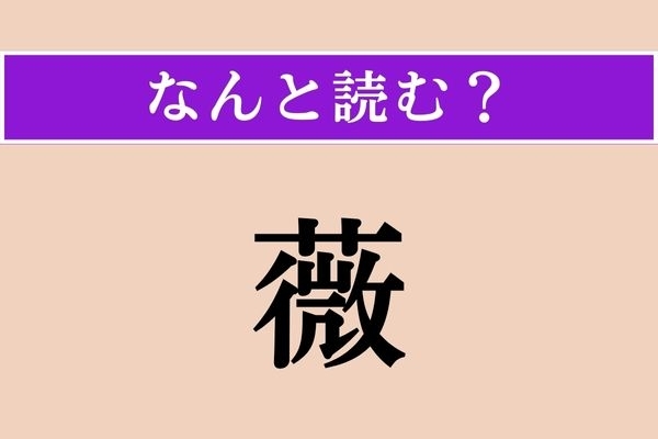 【難読漢字】「薇」正しい読み方は？ 干して食べます