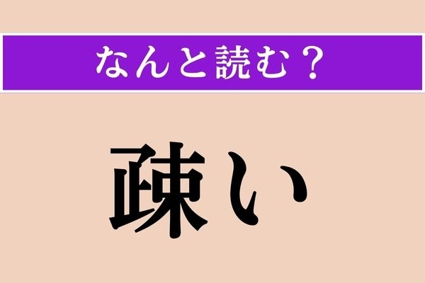 【難読漢字】「疎い」正しい読み方は？「過疎」の「疎」ですね