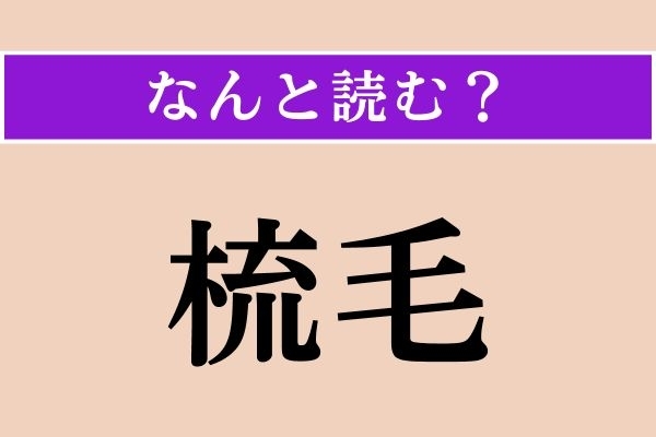 【難読漢字】「梳毛」正しい読み方は？「梳」は「梳く（すく）」の「梳」です
