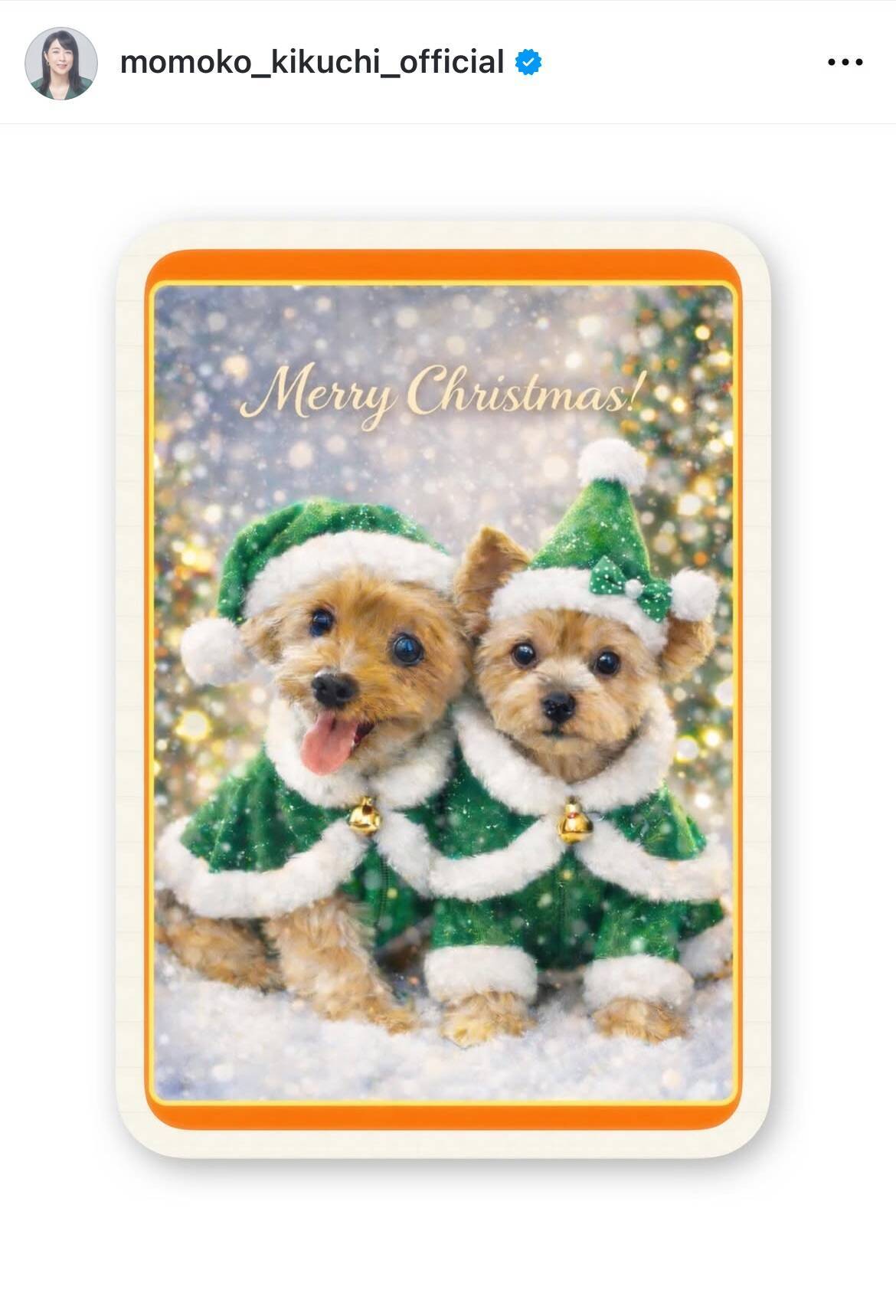 菊池桃子、愛犬2匹との別れを報告　40年間のヨークシャテリアとの生活に終止符　