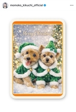 菊池桃子、愛犬2匹との別れを報告　40年間のヨークシャテリアとの生活に終止符　